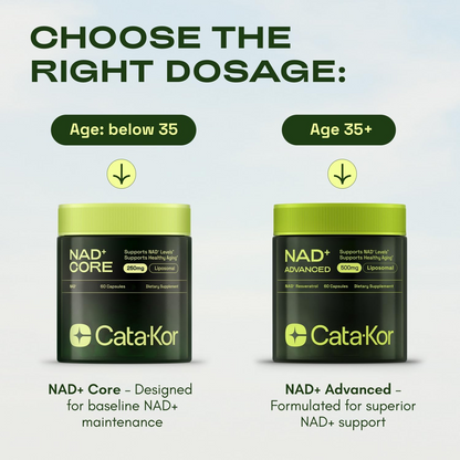 NAD+ Core - NAD Supplement - 60 Capsules